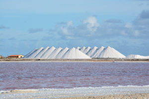 zoutpannen Bonaire