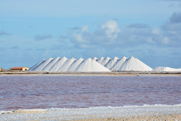 zoutpannen Bonaire