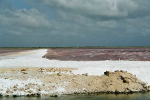 zoutpannen Bonaire