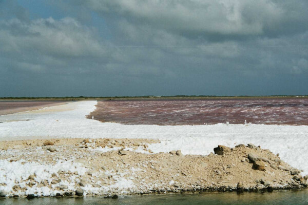 zoutpannen Bonaire