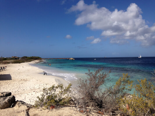 Wat te doen op Bonaire?