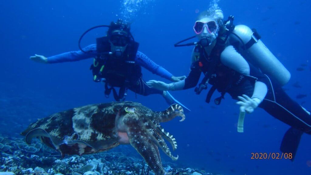 duiken lombok