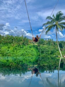 ubud swing