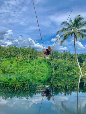 ubud swing