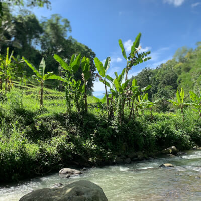 Ubud leke leke waterfall