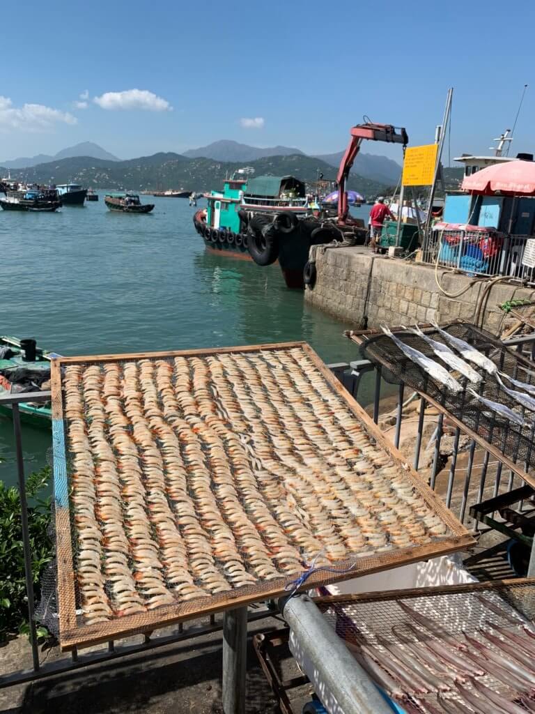 gedroogde vis op de kade van Cheung Chau